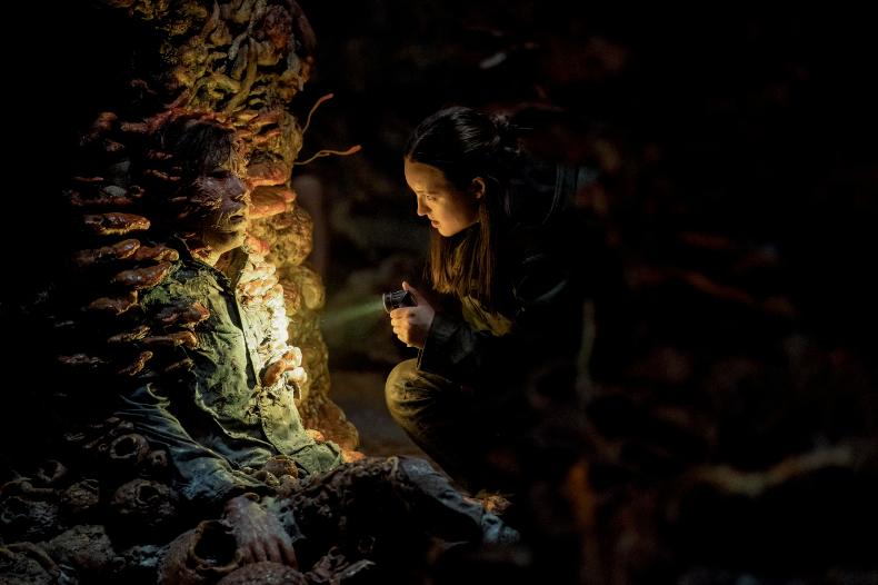 «The Last of Us» Staffel 3: Dreh hat begonnen