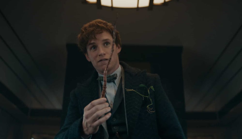 Nach enttäuschendem Einspielergebnis des 3. Teils: «Phantastische Tierwesen» droht das vorzeitige Ende