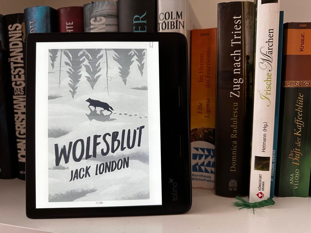 Tolino epos 3 im Test: Der bessere Kobo Sage?