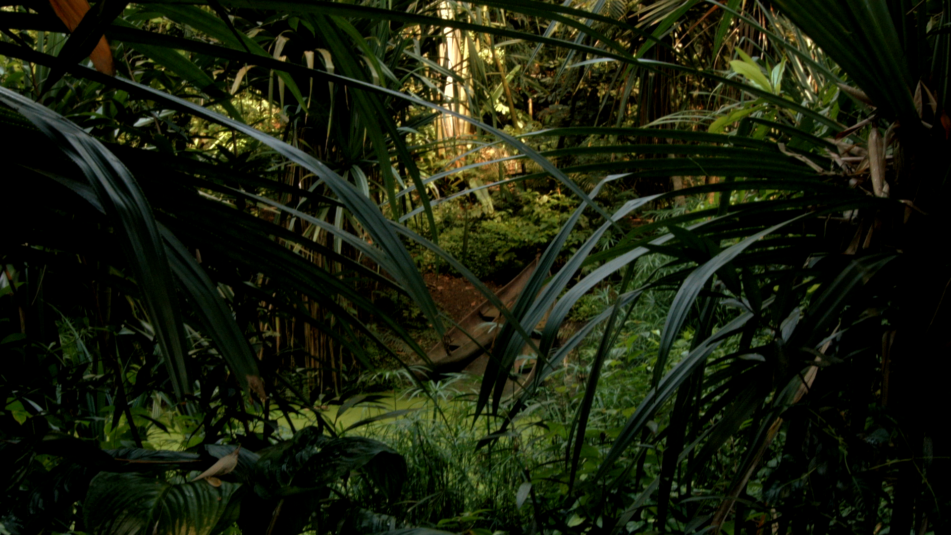 Abenteuerfilme sind ein fast ausgestorbenes Genre. Grund, genug, einem «Klassiker» eine zweite Chance zu geben.