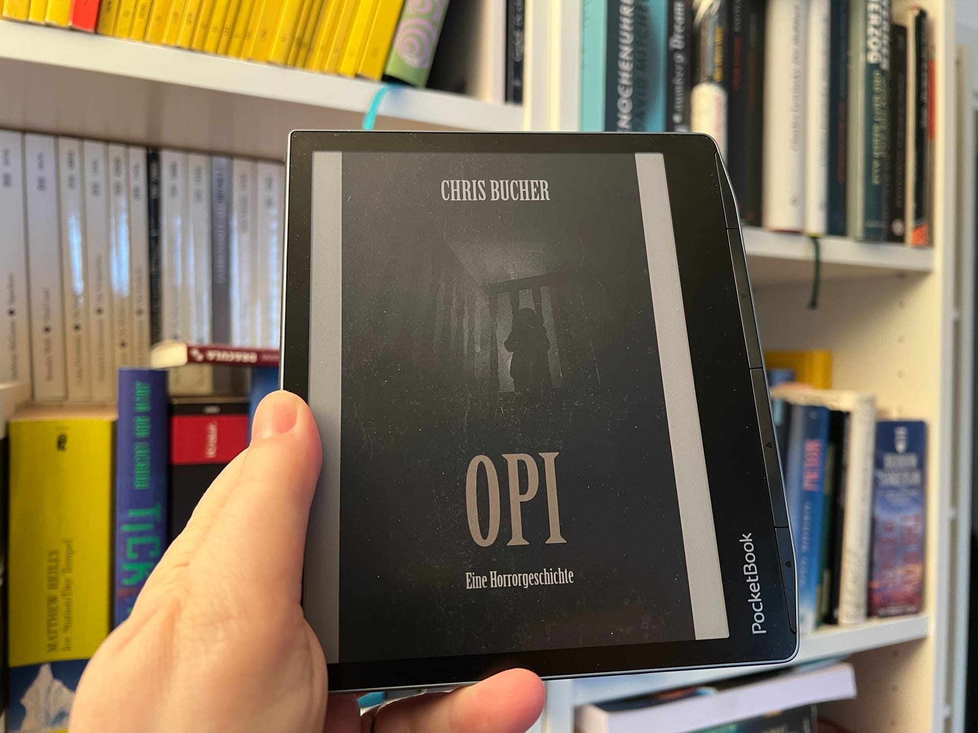 Der PocketBook Era Color: ein kleiner Alleskönner und Vielwoller.